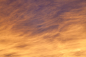 Fiery altostratus sunset
